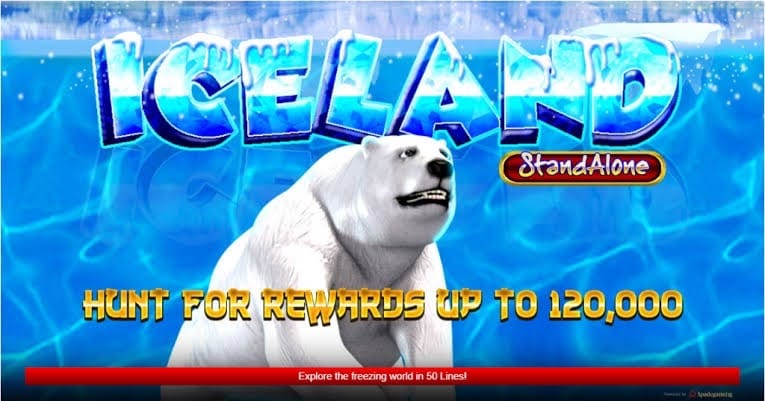 เกม หมีขั้วโลก